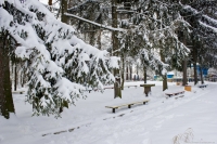 Шепетівка отримає 173 тис.грн. на благоустрій парку