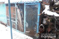 Поліція впіймала серійного гаражного злодія