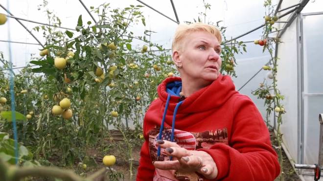 Полуниця в жовтні: на Шепетівщині переселенка започаткувала тепличний бізнес