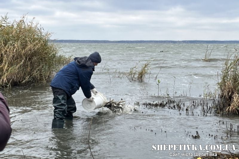 На технологічній водоймі Хмельницької АЕС розпочали зариблення