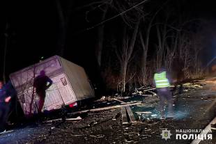 На Шепетівщині судитимуть водія вантажівки, який напідпитку в’їхав у підводу