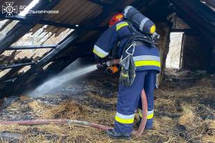 У Кіпчинцях горів будинок, а у Пліщині через дитячі пустощі - господарча споруда