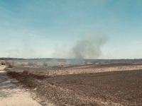 На Шепетівщині впіймали чергового палія сухостою