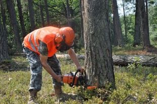 У Мальованському лісництві змагались вальники лісу