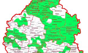 Плесенська ОТГ не відповідає показникам спроможності за методикою Мінрегіону