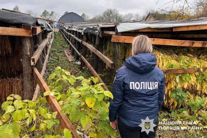 Викрили підпільну тютюнову імперію: 45 тонн тютюну, сотні тисяч готівки і гектари плантацій