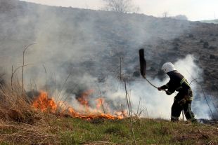 Поблизу села Мальованка горіло 7 гектарів сухої трави