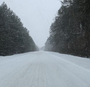 Дорога між Шепетівкою та Славутою