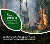 На Хмельниччині 2 дні буде заборонено відвідувати хвойні ліси