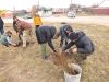 «Юнацька варта» разом з лісівниками заклала липову алею поблизу своєї школи