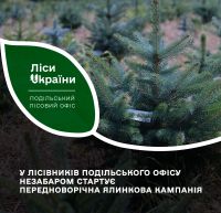 На Хмельниччині вже підготували 11 600 хвойних для ялинкових ярмарків