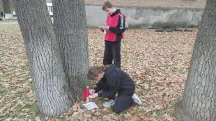 Шепетівські школярі змагались у спортивному орієнтуванні: які результати