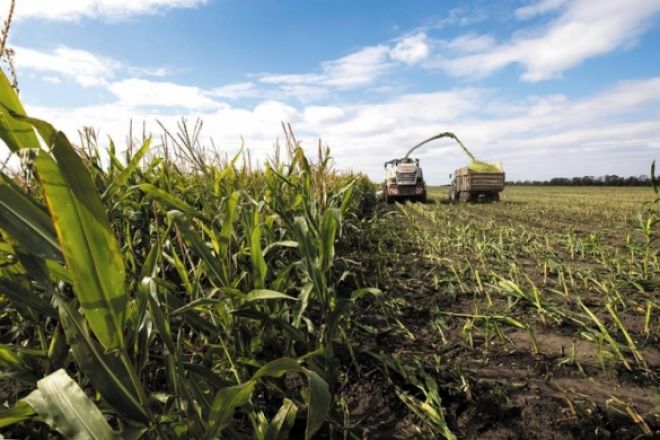 Корпорація “Сварог Вест Груп” підвела підсумки врожайності основних культур у 2018 році
