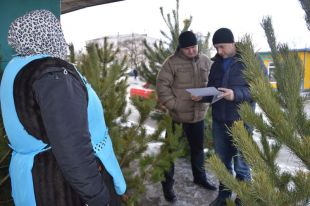 На ринках Шепетівки шукали нелегальні ялинки