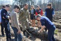 Діти cтворили плантацію новорічних ялинок