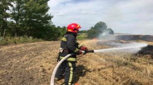 Поблизу села Пиляї виникла пожежа стерні