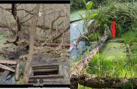 У всьому винні бобри: джерела «Свята криничка» більше не існує