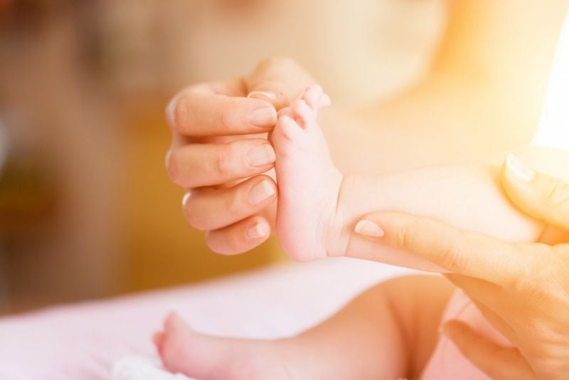 З 2010 року у Шепетівській ТГ зареєстровано майже 1000 багатодітних матерів