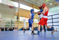 Чемпіонат України з боксу серед юнаків у Рівному