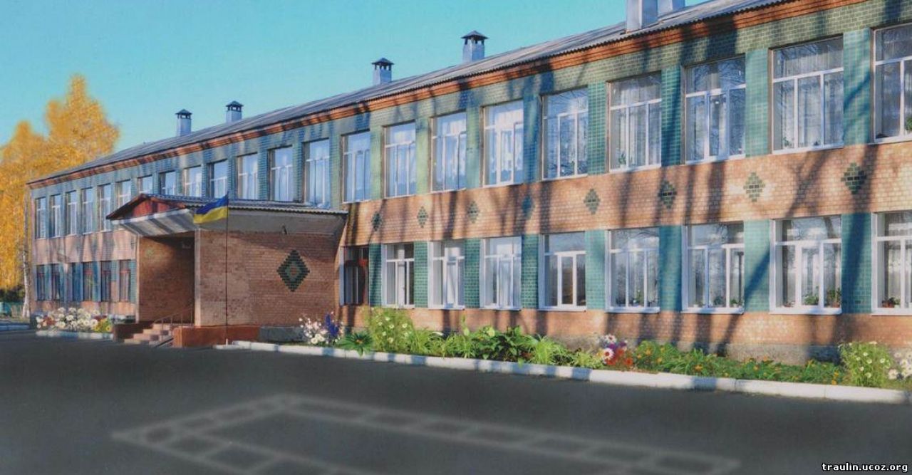 Тендер на ремонт школи у Траулині виграло ПП "МВМ-13", але договір з ним не підписали