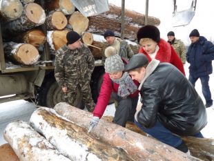 На Шепетівщині обговорили питання всихання соснових насаджень