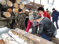 На Шепетівщині обговорили питання всихання соснових насаджень