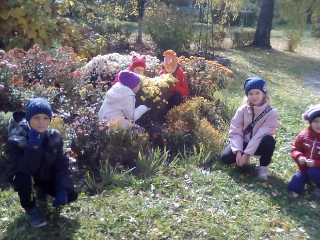 Юні шепетівські квітникарі здобули перемогу на всеукраїнському конкурсі