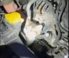 Котик подорожував під капотом автомобіля понад 200 кілометрів