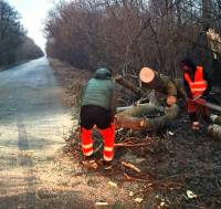 Внаслідок негоди зламані дерева падали на проїжджу частину державних доріг