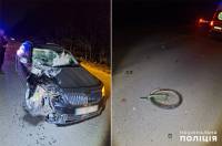 Поблизу села Плесна п'яний водій насмерть збив велосипедиста