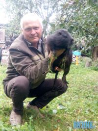 Жир нутрій корисний тим, у кого хвора печінка