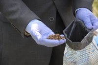 Затримали двох братів, які займалися виготовленням та збутом опію