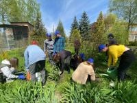 На території дендрологічного парку "Шепетівський" висадили алею квітів