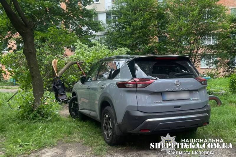 Авто зупинило дерево: некерований "Nissan" наїхав на двох жінок із 3-річною дитиною