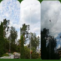 Лісівники встановлюють камери для своєчасного виявлення займання лісів