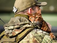 Війна росії проти України. Ситуація станом на ранок 19 жовтня 2022 року