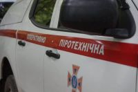 На Шепетівщині виявили 2 артснаряди часів Другої світової війни