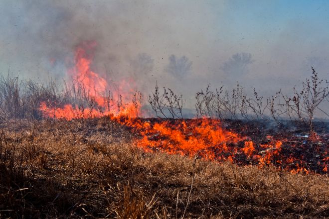 На Шепетівщині двічі за добу гасили пожежу сухостою