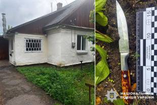 У селі Цвітоха сімейний конфлікт завершився різаниною: батько вдарив сина ножем у груди