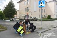 У Шепетівці перед пішоходними переходами з'явились написи