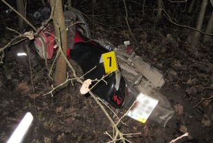 Внаслідок зіткнення мотоцикла з конем загинула жінка