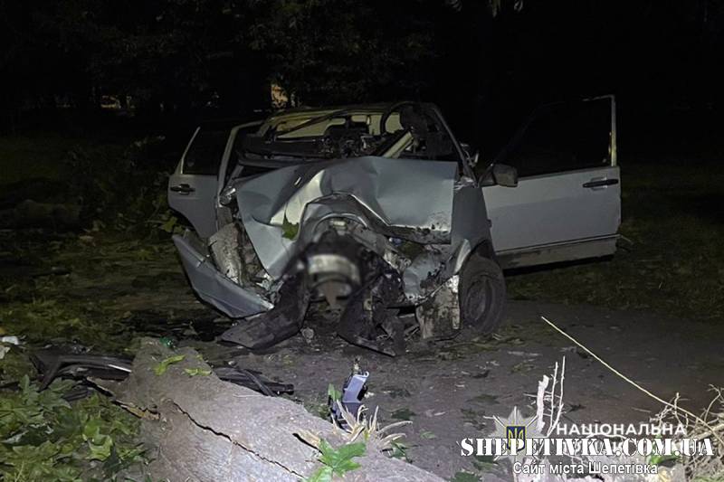 У Шепетівці авто влетіло в дерево: водія та двох пасажирів було госпіталізовано