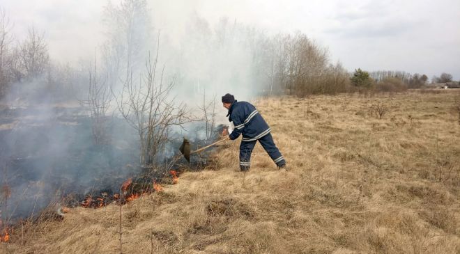 Правоохоронці шукають палія трави на Шепетівщині