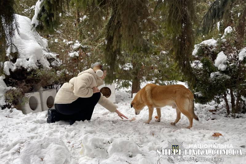 У Нетішині запустили Пункт незламності для чотирилапих