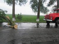 Рятувальники ліквідували наслідки буревію