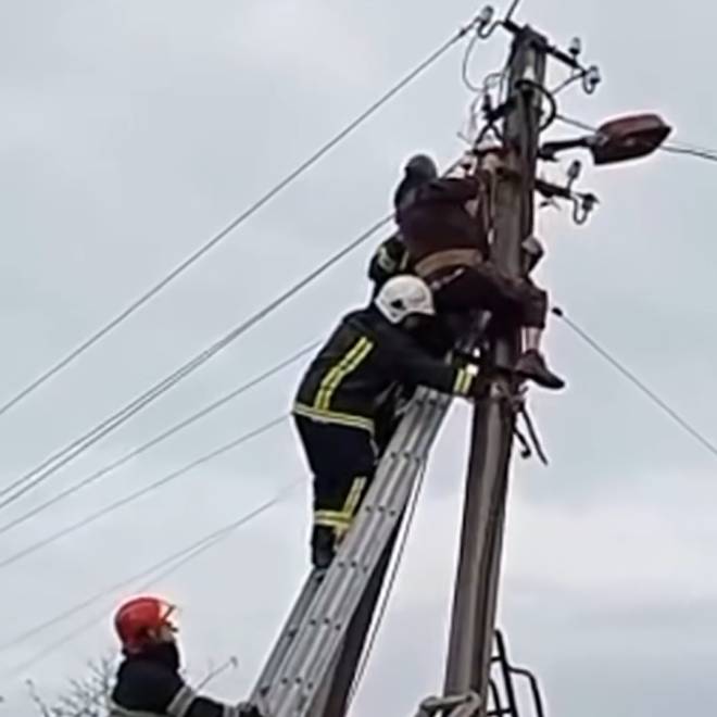 Чоловік виліз на стовп ЛЕП: спустити його на землю довелось рятувальникам