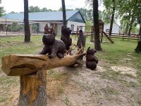 На Шепетівщині облаштовують зони відпочинку новими лісовими меблями