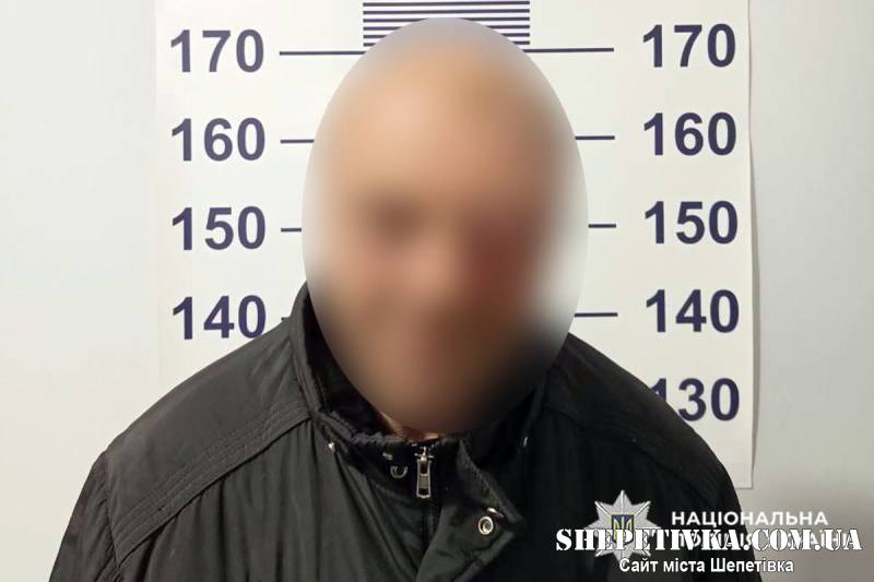 Напав на поліцейського під час виклику про домашнє насильство: дебошира взяли під варту