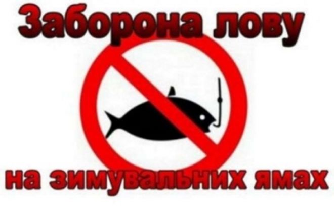 З 1 листопада стартує заборона на вилов риби у зимувальних ямах