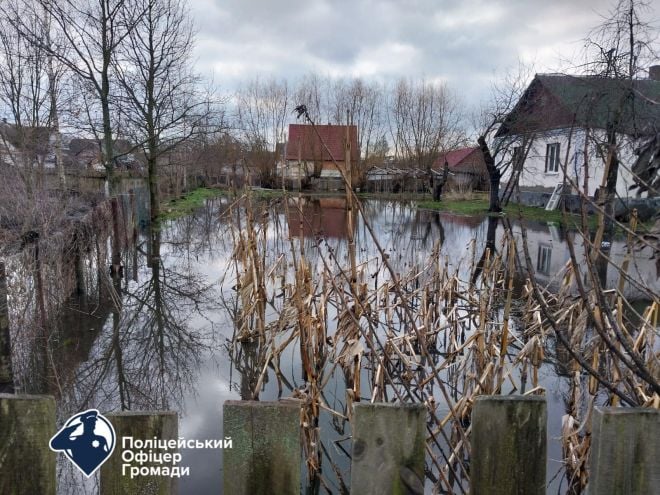 Затопило будинок та прилеглу територію: рятували майно мешканки Шепетівщини